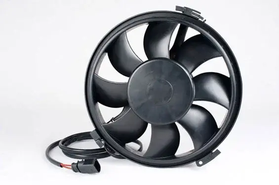 Fotografía de los productos que comercializa la compañía. Muy importante es un fotógrafo profesional para hacer los fotos de los productos.